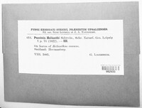 Image Associated With the Occurence